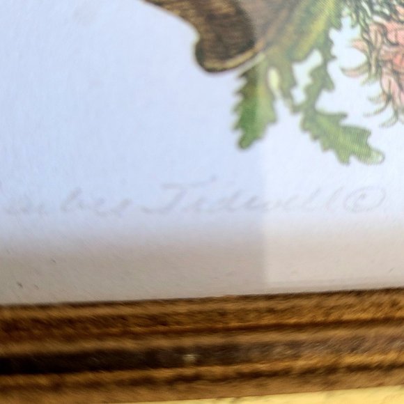 Small framed picture. Flowers in basket. Signed by artist. - Picture 6 of 7